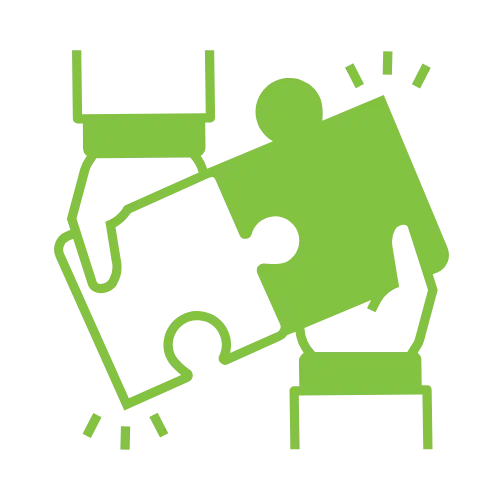 Strategy & Campaign Roles