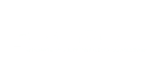 client_logo_blectrical